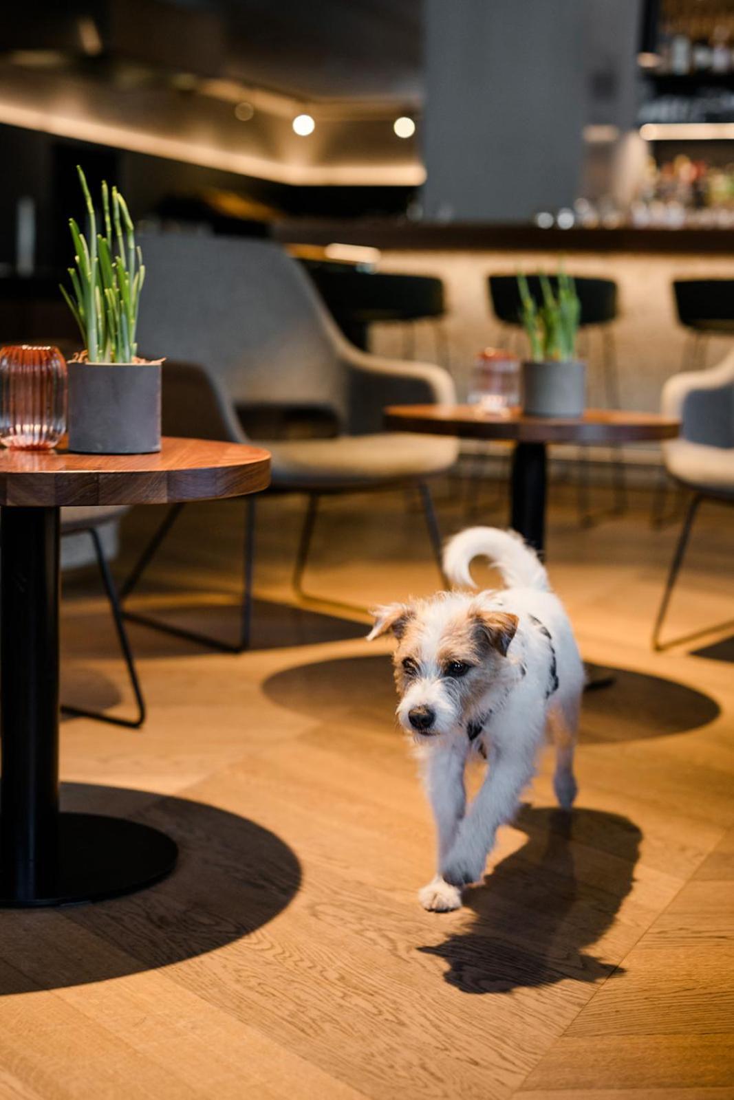 Bergzeit Hotel 4*